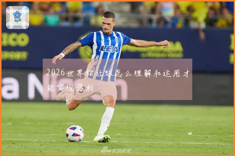 2026世界杯让球怎么理解和运用才能实现盈利
