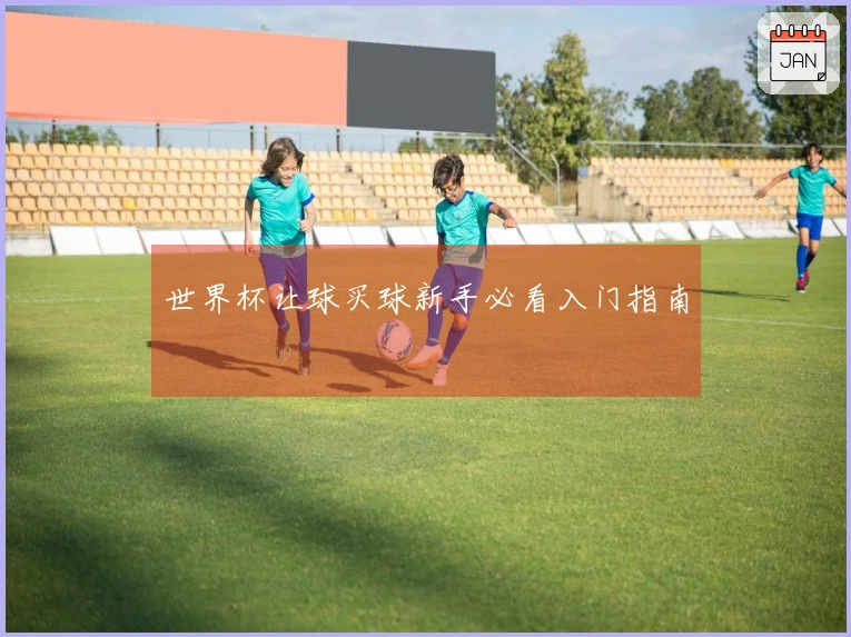 世界杯让球买球新手必看入门指南