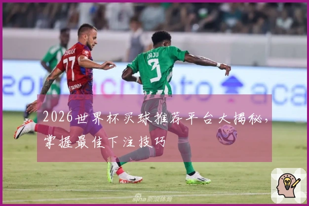 2026世界杯买球推荐平台大揭秘，掌握最佳下注技巧