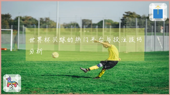 世界杯买球的热门平台与投注技巧分析