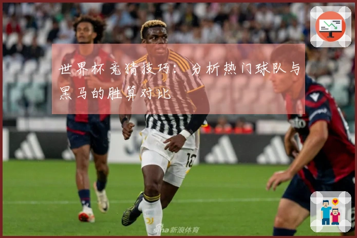 世界杯竞猜技巧：分析热门球队与黑马的胜算对比