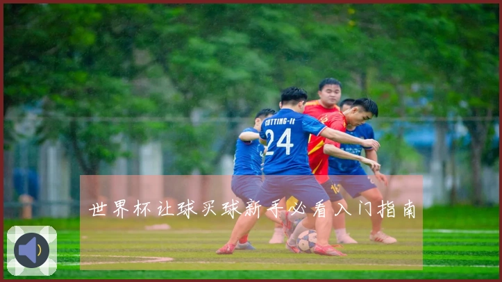 世界杯让球买球新手必看入门指南