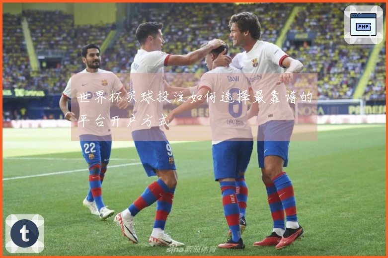 世界杯买球投注如何选择最靠谱的平台开户方式