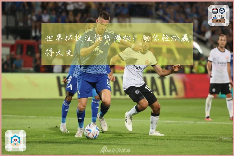 世界杯投注技巧揭秘，助你轻松赢得大奖