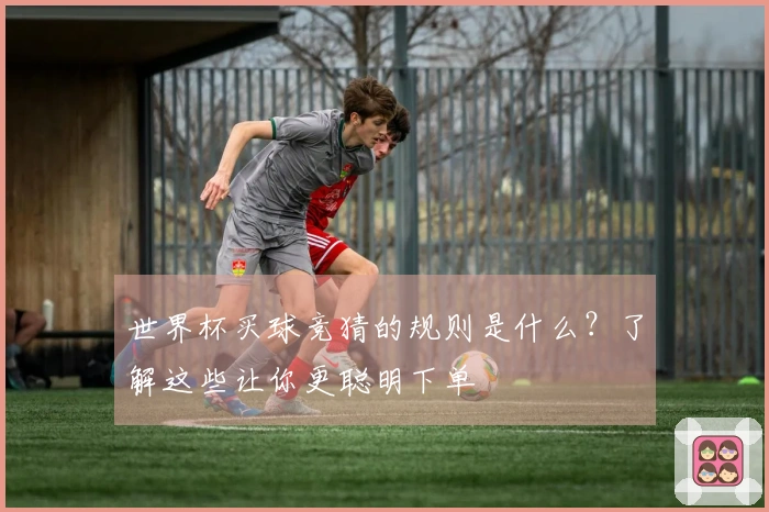 世界杯买球竞猜的规则是什么？了解这些让你更聪明下单