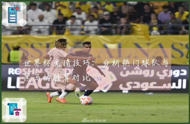 世界杯竞猜技巧：分析热门球队与黑马的胜算对比