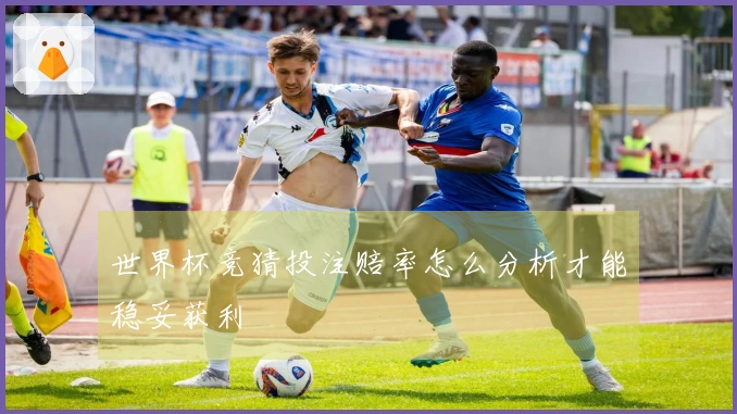 世界杯竞猜投注赔率怎么分析才能稳妥获利