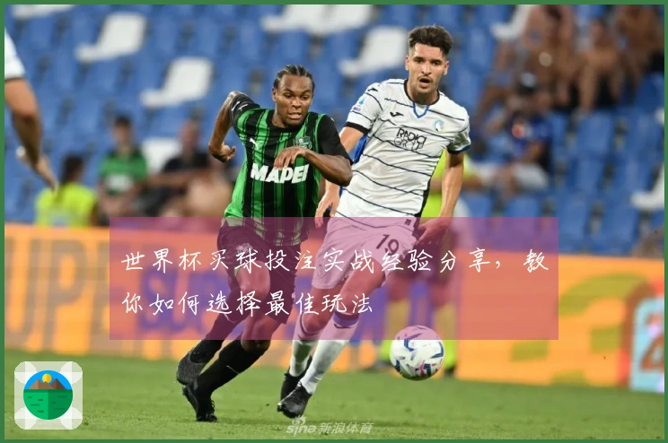 世界杯买球投注实战经验分享，教你如何选择最佳玩法