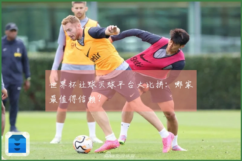 世界杯让球买球平台大比拼：哪家最值得信赖？